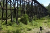 Stoney Bridge Trestle Bridge, Colquhoun State Forest, VIC