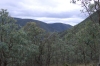 Wheeler's Saddle, Snowy Mountains National Park VIC