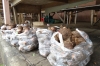 Quiet day at the Talamahu Market, Nuku'alofa, Tonga