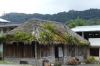 On the road from Papallacta Hot Springs to Tena, in the clouds EC
