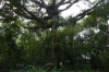 Amazon Park, Tena EC