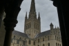 Norwich Cathedral, Norwich UK