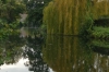 River Wensum, Norwich UK