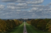 Windsor Castle from the Long Walk, Windsor Great Park GB