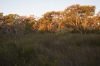 Kepwari Walk Trail, Esperance WA AU