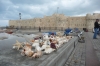 The old fort, Alexandria EG