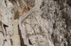 Escala del Cabirol (steps) to Grotta di Nettuno, Capo Caccia, Sardinia IT