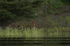 Fishermen on Jaraqui Stream, Amazon BR