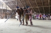 Dancing & Music demonstrations, Cipiá Indigenous Village, Rio Negro BR