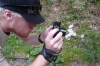 Evan photographing flowers and bug at La Massana, Andorra