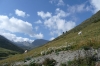 Andorra on the French border. Do you think the cows care?