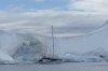 Intrepid travellers in Paradise Harbour, Antarctica