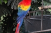 In the garden of the hotel of Casa Santo Domingo, Antigua GT