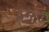 Petroglyphs circa 1650-1850, horses, goats and dogs, Arches National Park