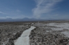 Chaxa Lake in the National Flamingo Reserve, Atacam Desert CL