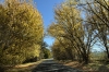 Wagra Park on Spring Creek Road near Tallangatta VIC