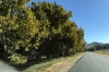 Wagra Park on Spring Creek Road near Tallangatta VIC