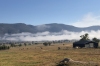 Fog hanging over the valley at Corryong VIC