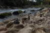 Ovens River on the Mosaic Walk, Myrtleford VIC