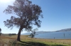 Lake Hume on the Sandy Creek Rail Trail, Lake Hume VIC