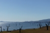 Lake Hume on the Sandy Creek Rail Trail, Lake Hume VIC