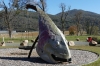 Murray Cod playground in Khancoban NSW