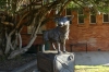 Horrie the Wog Dog, hero of WWII, RSL Park, Corryong VIC