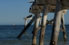 The jetty, Eucla WA AU