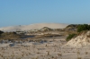 Sand dunes, Eucla WA AU