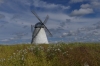 Dutch Windmill (1860) at Vihula Manor EE