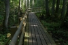 Kemeri National Park (floodplain forest trail) near Jūrmala LV