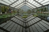 The green house, Umi-Jigoku hot springs, Beppu, Japan