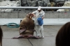 Walrus performance at Umitamgo (aquarium), Oita, Japan.  From very northern Pacific and Arctic seas.