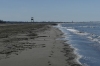 \'Beach\' at the Divjake-Karavasta National Park AL