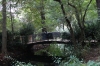 Little bridge in the Tiergarten, Berlin DE