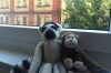 Pepe and Paco 'at home' in Berlin DE