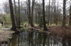 Reflections in the Tiergarten, Berlin DE