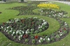 Spring flowers in the Tiergarten, Berlin DE