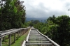 Natural drying racks. Finca Dos Jefes Coffee Farm, Boquete PA