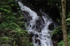 The waterfall. Cascada Escondida (Waterfall Trail), Boquete PA