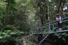 Thea on a bridge. Cascada Escondida (Waterfall Trail), Boquete PA