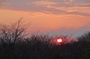 Sunrise entering Chobe National Park, Botswana. Local time 5:47am and I was awake and out!