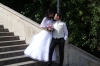 Wedding season. Budapest HU