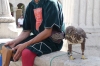 Exploring Budapest HU