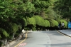 Manicured gardens, Taejongdae Cliffs, Busan, South Korea