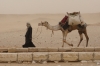 Alex and his handler, Pyramids of Giza EG