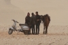 Egyptians looking for tourists with their horses, sand storm, Pyramids of Giza EG