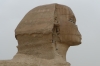 Sphinx of Giza EG - adorned by birds