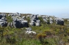 Table Mountain, Cape Town, South Africa
