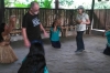 Dancing at the Kichwa Shiripuno Community on the Rio Napa EC